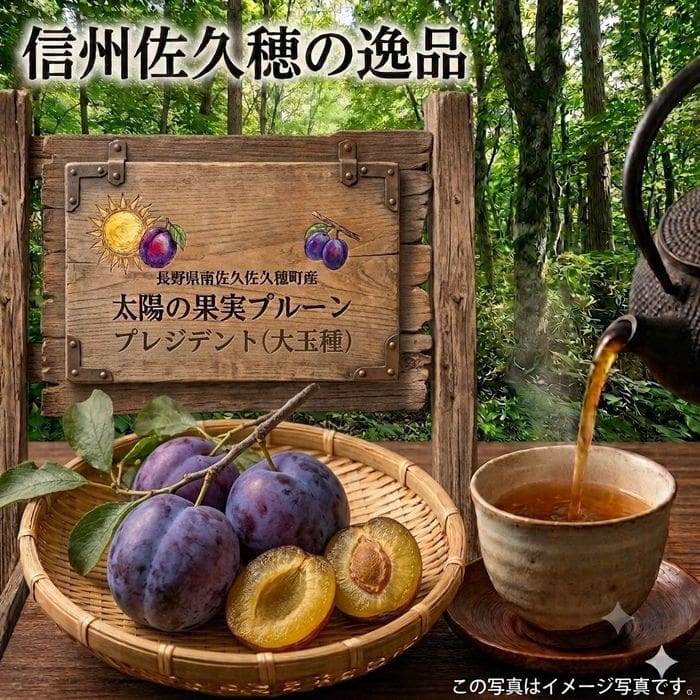 太陽の果実プルーン　プレジデント（大玉種）　DS予約販売（出荷予定 9/E頃から2週間）